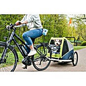 Croozer Hundeanhänger Dog Jokke (Traglast: 45 kg, Farbe: Grasshopper green)