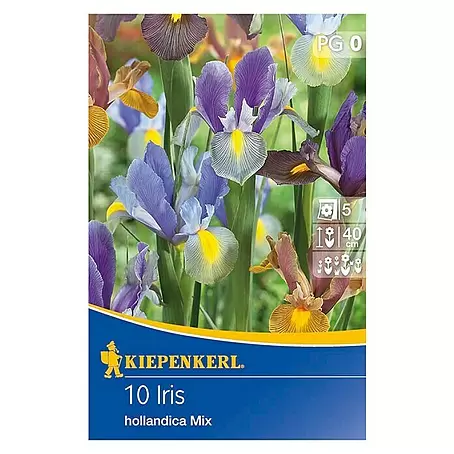 Kiepenkerl  Frühlingsblumenzwiebeln Schwertlilien holländischer Mix