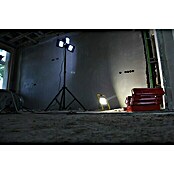 Profi Depot Proyector de LED (Negro, Con trípode, 50 W, IP54)