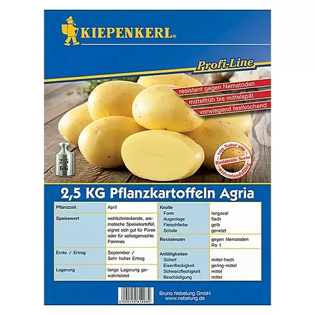 Kiepenkerl  Pflanzkartoffeln Agria