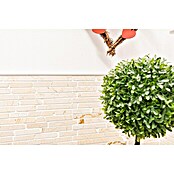 Mozaik pločica Golden Cream MOS BRICK 2807  (30,5 x 32,2 cm, Cream, Mat) | BAUHAUS