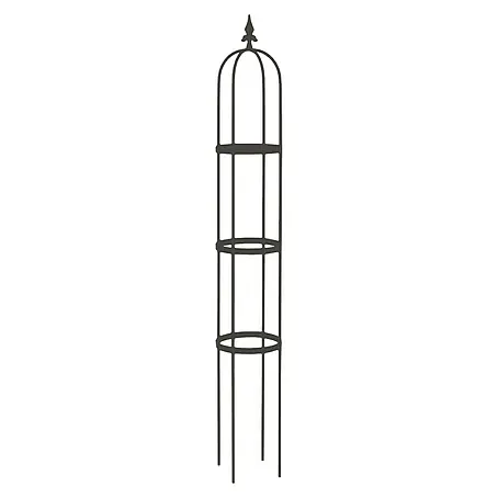 Rankhilfe Obelisk Oscar