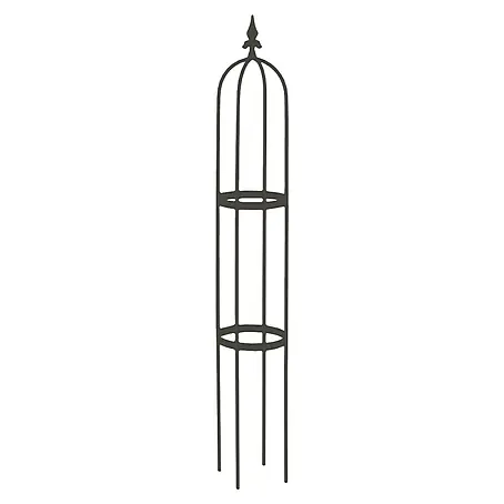 Rankhilfe Obelisk Oscar