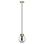 Paulmann Neordic Pendelleuchte Linja (20 W, Messing/Rauchglas, Höhe: 110 mm)