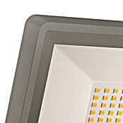 Steinel Sensor-LED-Außenwandstrahler XLED One (L x B x H: 202 x 229 x 195 mm, Warmweiß, 23,5 W, Anthrazit)