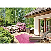 Classis Carpets  Infinity Grass Rasenteppich World of Colors (200 x 133 cm, Poppy Pink, Ohne Noppen)