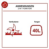 Scheppach Benzin-Vertikutierer SC55P (4 kW, Arbeitsbreite: 40 cm) | BAUHAUS