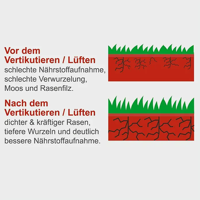 Scheppach Benzin-Vertikutierer SC55P - 4 kW, Arbeitsbreite: 40 cm - Illustration der Rasenpflege vor und nach dem Vertikutieren/Lüften, mit Fokus auf Bodenbeschaffenheit, Wurzelwachstum und Nährstoffaufnahme.