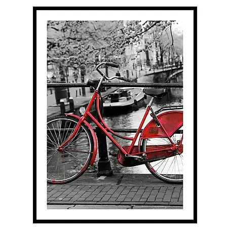 Cuadro Bici Roja