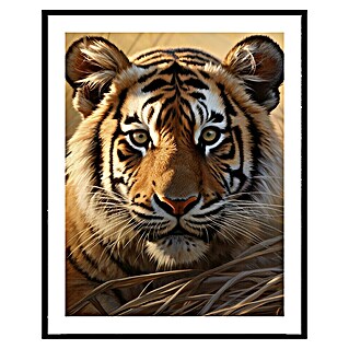 Cuadro Tigre (Tigre, An x Al: 40 x 50 cm, 1 pzs.)