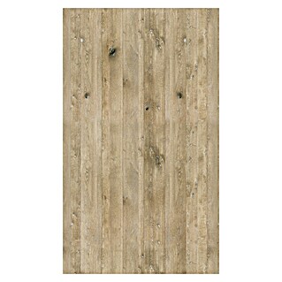 GEO Wandpaneel (255 x 150 cm, Eiche Gekalkt, Alu-Verbundmaterial)
