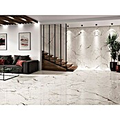 Granitogresne ploščice Windsor Burgundy  (60 x 120 cm, Bela, Mat) | 4240 - Natursteinoptik | EAFA - Bodenfliesen | EAF - Fliesen | EA - Fliesen | E - Fliesen | BAUHAUS