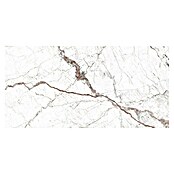 Granitogresne ploščice Windsor Burgundy  (60 x 120 cm, Bela, Mat) | 4240 - Natursteinoptik | EAFA - Bodenfliesen | EAF - Fliesen | EA - Fliesen | E - Fliesen | BAUHAUS
