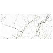 Porculanska pločica Windsor Burgundy  (60 x 120 cm, Visokog sjaja) | BAUHAUS