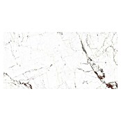 Porculanska pločica Windsor Burgundy  (60 x 120 cm, Visokog sjaja) | BAUHAUS