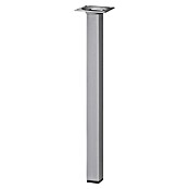 Dolle Meubelpoot Plix (l x b x h: 24 x 24 x 400 mm, Draagkracht: 30 kg, Staal) | BAUHAUS
