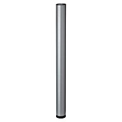 Dolle Meubelpoot Paso (Ø x h: 60 x 710 mm, Draagkracht: 30 kg, Staal, Zilver) | BAUHAUS