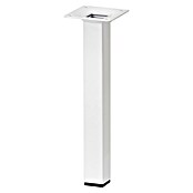 Dolle Meubelpoot Plix (l x b x h: 25 x 25 x 300 mm, Draagkracht: 30 kg, Staal, Wit) | BAUHAUS