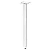 Dolle Meubelpoot Plix (l x b x h: 25 x 25 x 500 mm, Draagkracht: 30 kg, Staal, Wit) | BAUHAUS