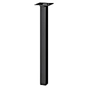 Dolle Meubelpoot Plix (l x b x h: 25 x 25 x 500 mm, Draagkracht: 30 kg, Staal, Zwart) | BAUHAUS