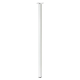 Dolle Meubelpoot Plix (l x b x h: 25 x 25 x 800 mm, Draagkracht: 30 kg, Staal, Wit)