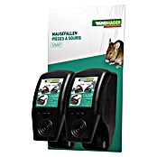 Windhager Mausefalle Snap (Spezialfalle, Kunststoff, 2 Stk.)