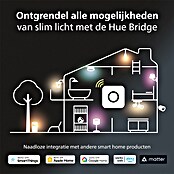 Philips Hue Smart-ledlamp 1 St. (GU10, Dimbaar, Meerkleurig, 400 lm, 4,2 W, 1 st.) | BAUHAUS