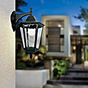 Panaled Vagg Aplique exterior (60 W, 28,3 x 22,4 x 42 cm, Negro, IP44, Descendente) | BAUHAUS