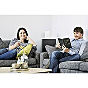 Schellenberg Temporizador inalámbrico (Sistemas soportados: Sistema Smart Friends de Abus, Apto para: 25 motores telecontrolados)