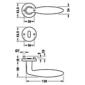 Häfele WC-Türgarnitur (Durchmesser: 53,5 mm, Schlitzkopf/Olive SK/OL, Edelstahl, Rosette)