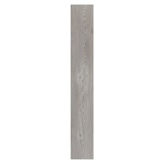 b!design Uzorak vinilne podne obloge Rigid SPC Swiss Pinie  (281 x 161 x 3,8 mm, Rustikalni pod) | BAUHAUS