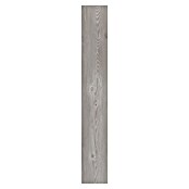 b!design Uzorak vinilne podne obloge Rigid SPC Swiss Pinie  (281 x 161 x 3,8 mm, Rustikalni pod) | BAUHAUS