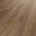 Tundra Pinie