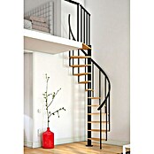 Dolle Spindeltreppe Calgary (Durchmesser: 140 cm, Anthrazit, Farbe Stufen: Buche Natur, Geschosshöhe: 244,8 - 280,8 cm)