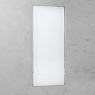 Wabenplissee Tageslicht (B x H: 120 x 240 cm, Weiß)