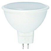 Garza Bombilla LED (5 W, GU5.3, Color de luz: Blanco cálido, No regulable, Semirredondo)