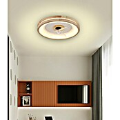 Stropni ventilator z LED osvetlitvijo Santana  (Rjava, 50 cm, 50 W) | 3442 - Deckenventilatoren QM | CBLB - Ventilatoren Qualitätsmarke | CBL - Ventilatoren | CB - Elektroinstallation | C - Elektro | BAUHAUS