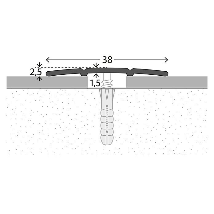 LOGOCLIC Übergangsprofil 132Sahara, 1 m x 38 mm x 2,5 mm, Montageart: Schrauben Detail Shot
