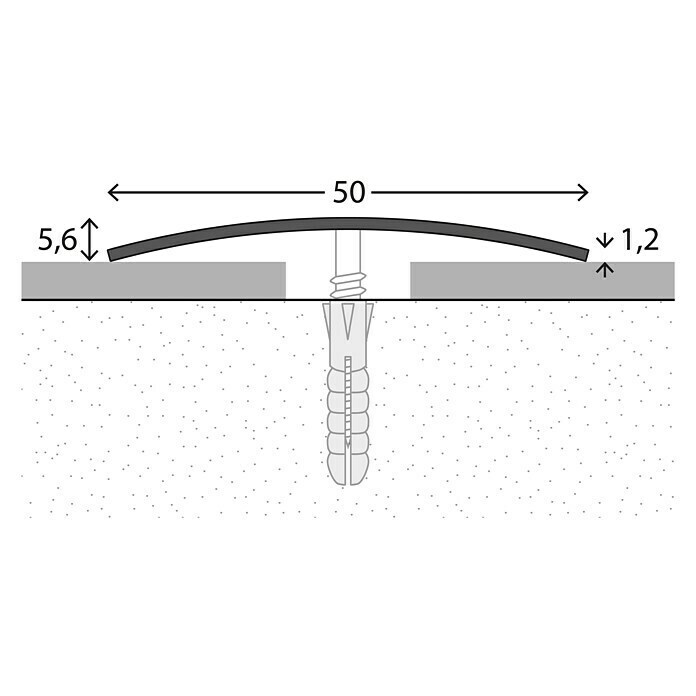 LOGOCLIC Prijelazni profil (Mat plemeniti čelik, 2,7 m x 50 mm x 5,6 mm, Vrsta montaže: Vijci, null)
