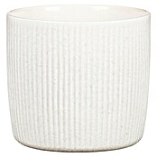 Scheurich Übertopf Solido Linea (Ø x H: 28 x 25,3 cm, Perla) | BAUHAUS