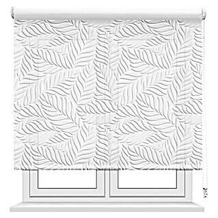 Estor enrollable Hoja Palma (An x Al: 105 x 190 cm, Blanco, Formas y patrones)
