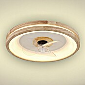 Stropni ventilator z LED osvetlitvijo Santana  (Rjava, 50 cm, 50 W) | 3442 - Deckenventilatoren QM | CBLB - Ventilatoren Qualitätsmarke | CBL - Ventilatoren | CB - Elektroinstallation | C - Elektro | BAUHAUS