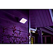 Philips Hue LED-Strahler White & Color Ambiance (15 W, Schwarz, L x B x H: 22 x 16 x 15,3 cm)