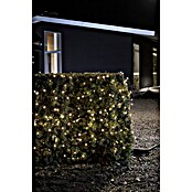 Konstsmide LED-Lichterkette (Außen, 20-flammig, Kabellänge: 1,9 m, Lichtfarbe: Bernsteinfarben)
