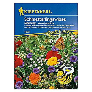 Kiepenkerl Profi-Line Blumensamenmischung Schmetterlingswiese (Verschiedene Sorten, Blütezeit: Juni, 5 m² - 8 m²)