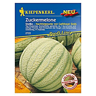 Kiepenkerl Profi-Line Obstsamen Zuckermelone (Cucumis melo, Erntezeit: Juli)