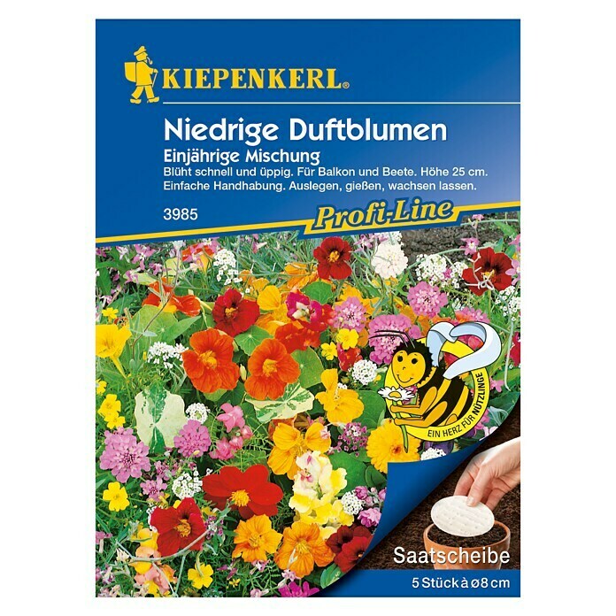 Kiepenkerl Profi-Line Blumensamen Niedrige Duftblumen (Verschiedene Sorten, Mehrfarbig) | BAUHAUS