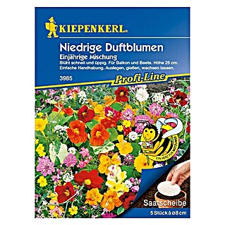 Kiepenkerl Profi-Line Blumensamen Niedrige Duftblumen (Verschiedene Sorten, Mehrfarbig)