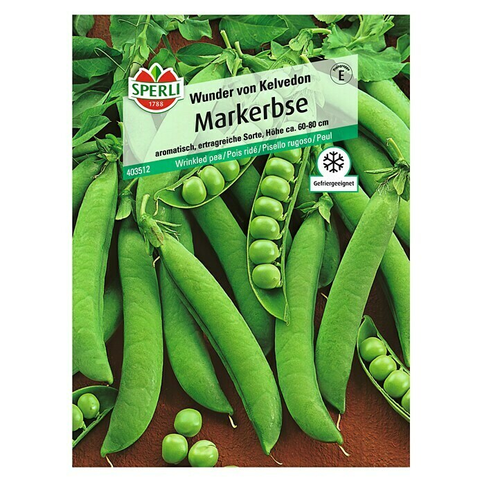 Sperli Gemüsesamen Markerbse Wunder von Kelvedon (Pisum sativum, Erntezeit: Juli) - 2 Stück