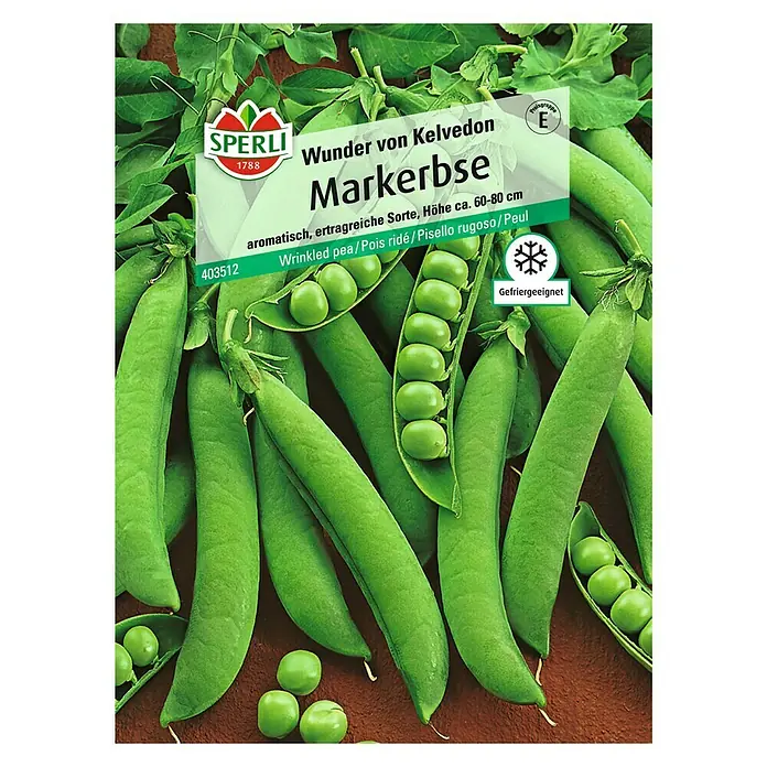 Sperli Gemüsesamen Markerbse Wunder von Kelvedon - Pisum sativum, Erntezeit: Juli - SPERLI 'Wunder von Kelvedon' Markerbse-Samen: Aromatische, ertragreiche Sorte für den Garten.